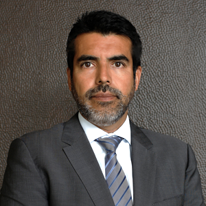 Luis Gonzalo Llosa