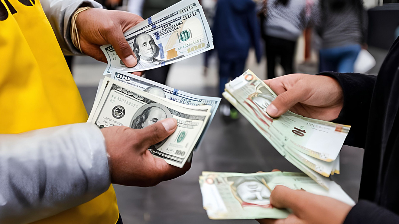Partial Dollarization
