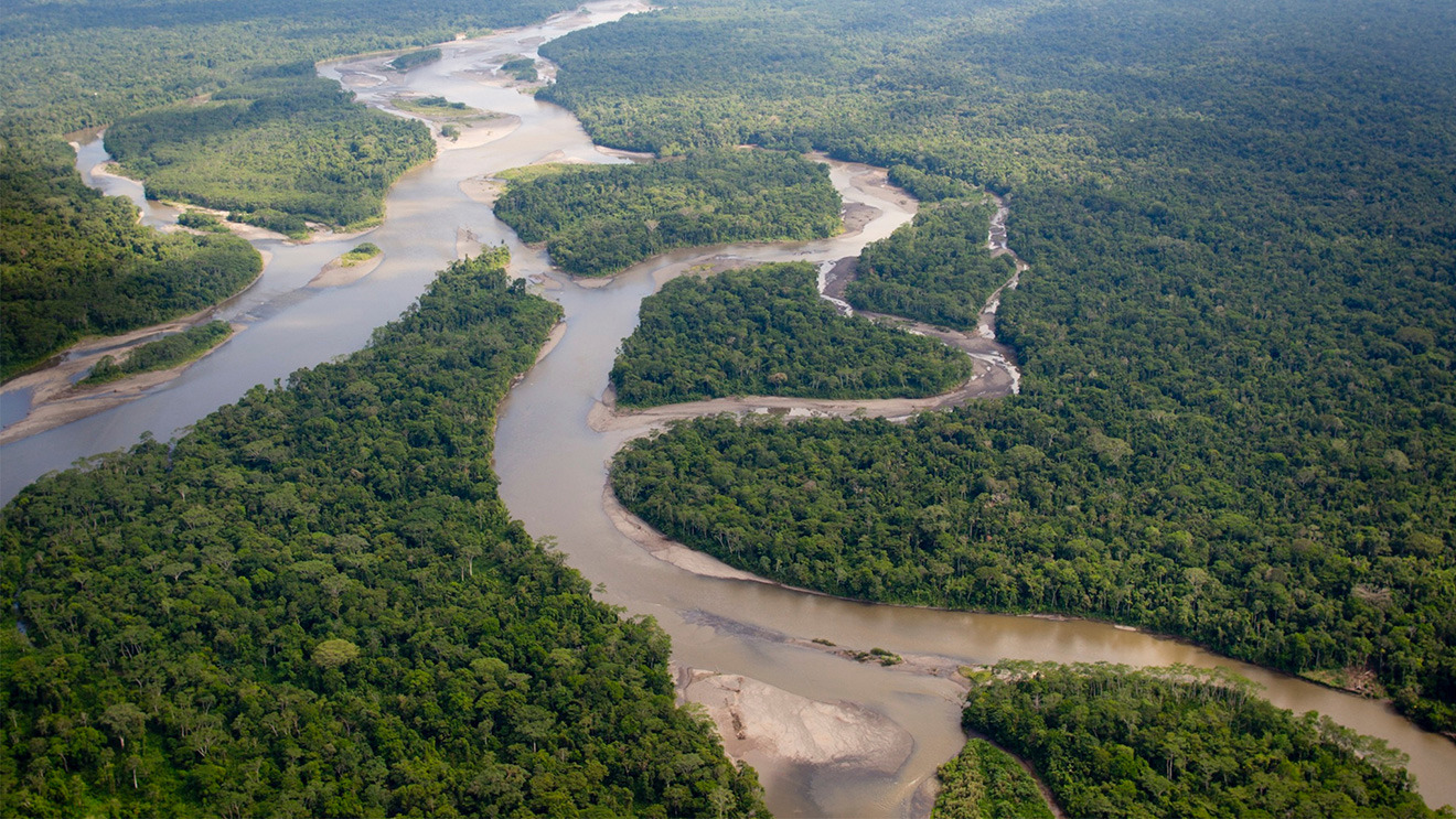 Situación y potencialidades de la amazonía peruana