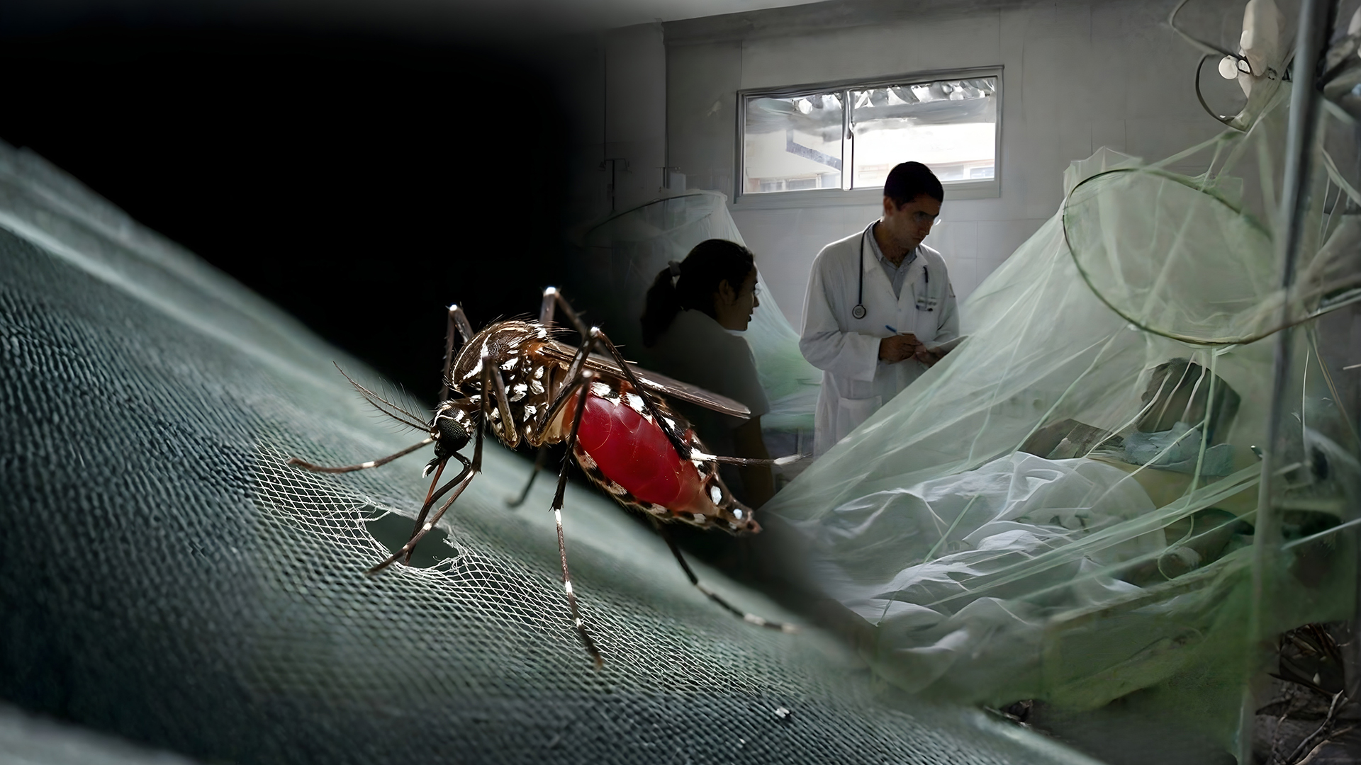 Costo económico del dengue en el Perú entre 2010 y 2024
