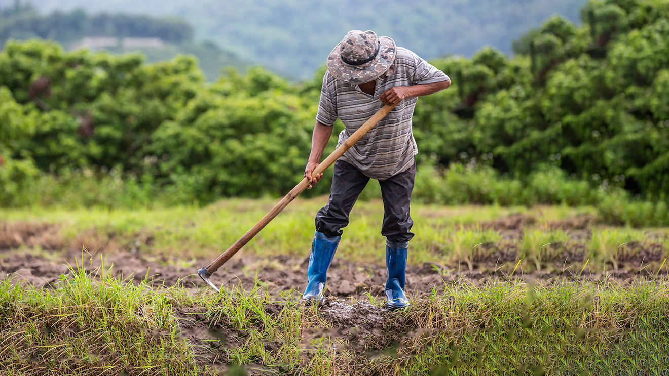 Effects of the Agricultural Sector Promotion Act on the Incomes of Formal-Sector Workers