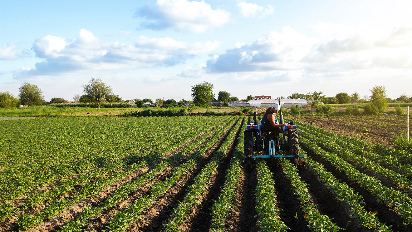 Agricultural Sector Promotion Regime.
