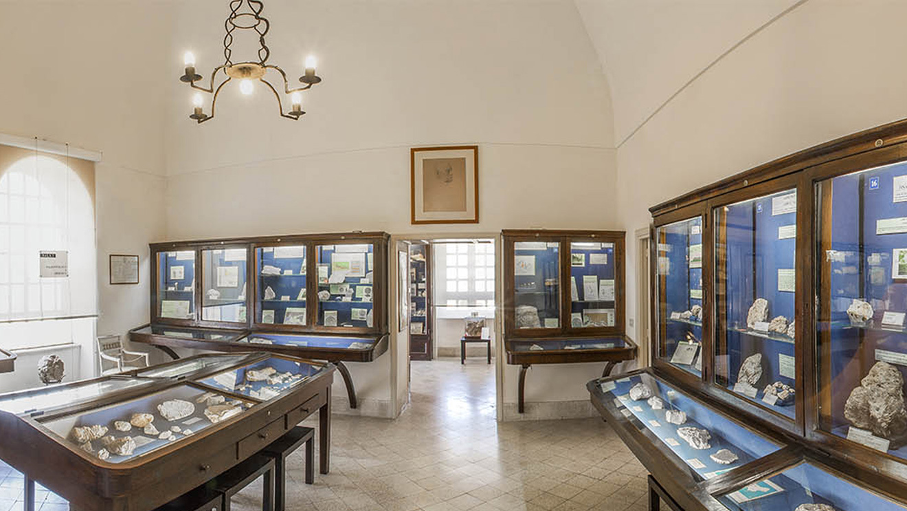 La historia vista a través del ojo numismático