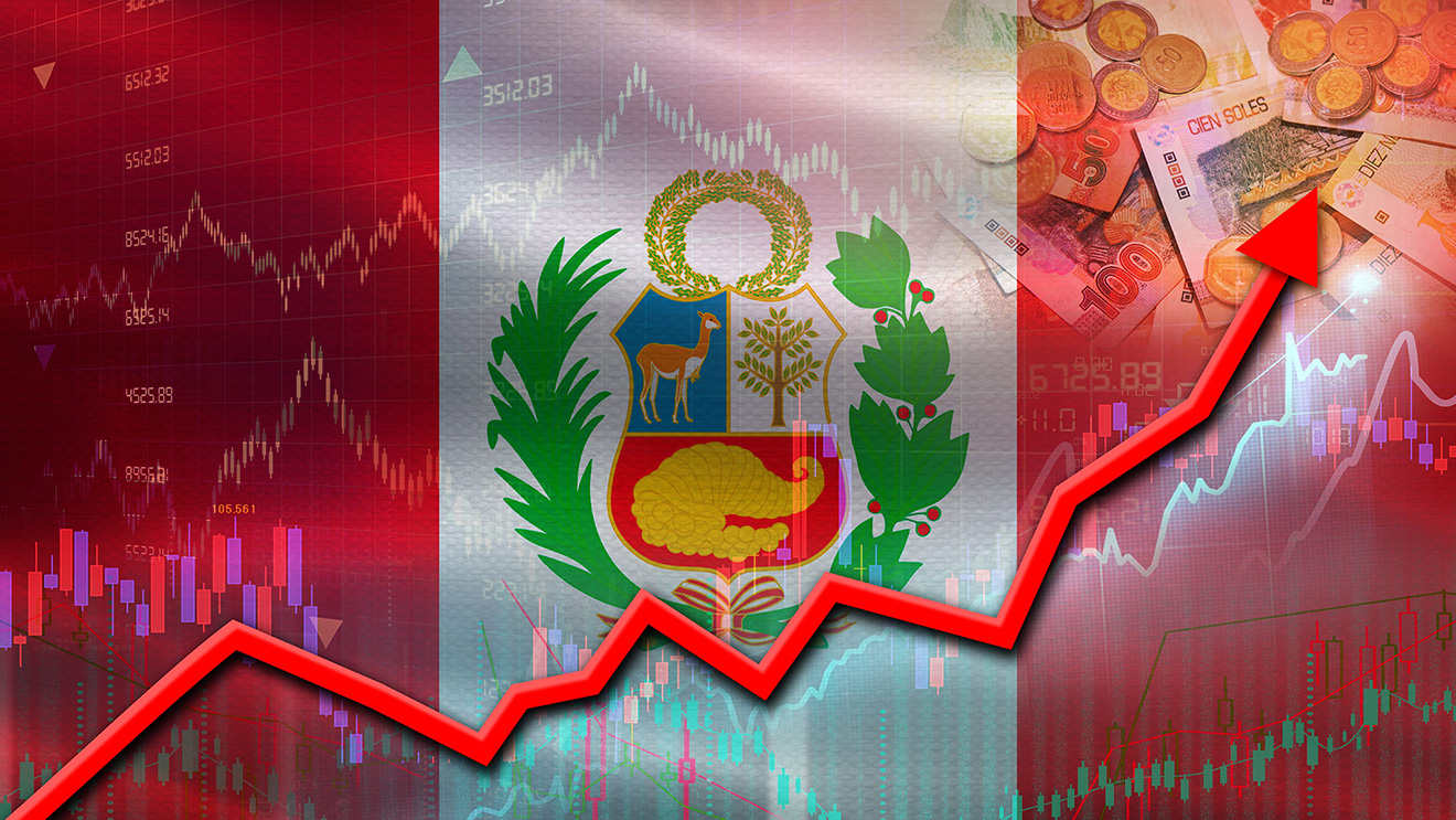 The Dynamics of Investment Projects: Evidence from Peru