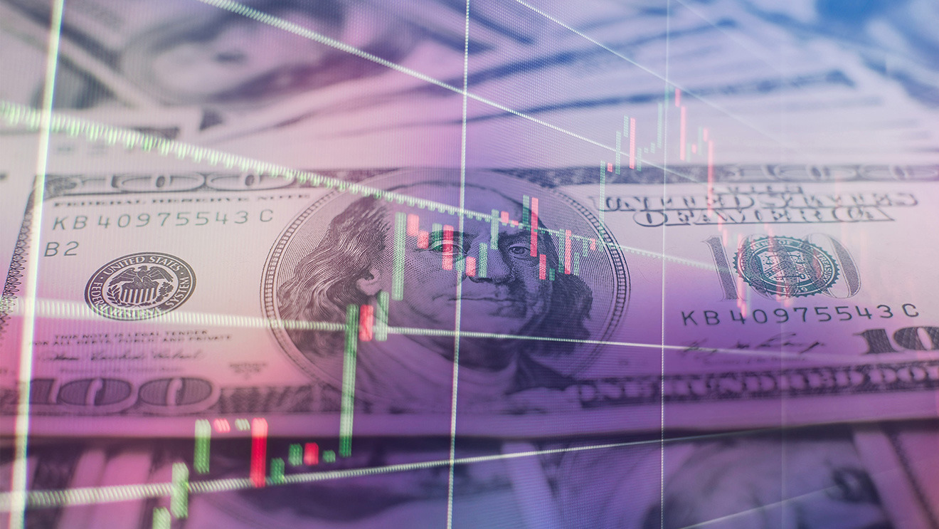 Decisiones de Inversión en Empresas con Dolarización Financiera