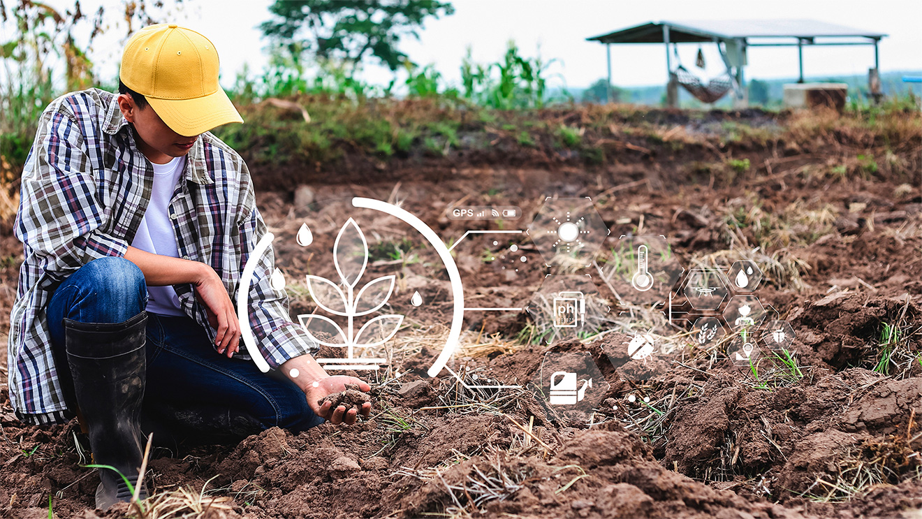 ¿Cómo aprovechar los vínculos entre la economía rural y urbana para el desarrollo rural sostenible en el Perú?