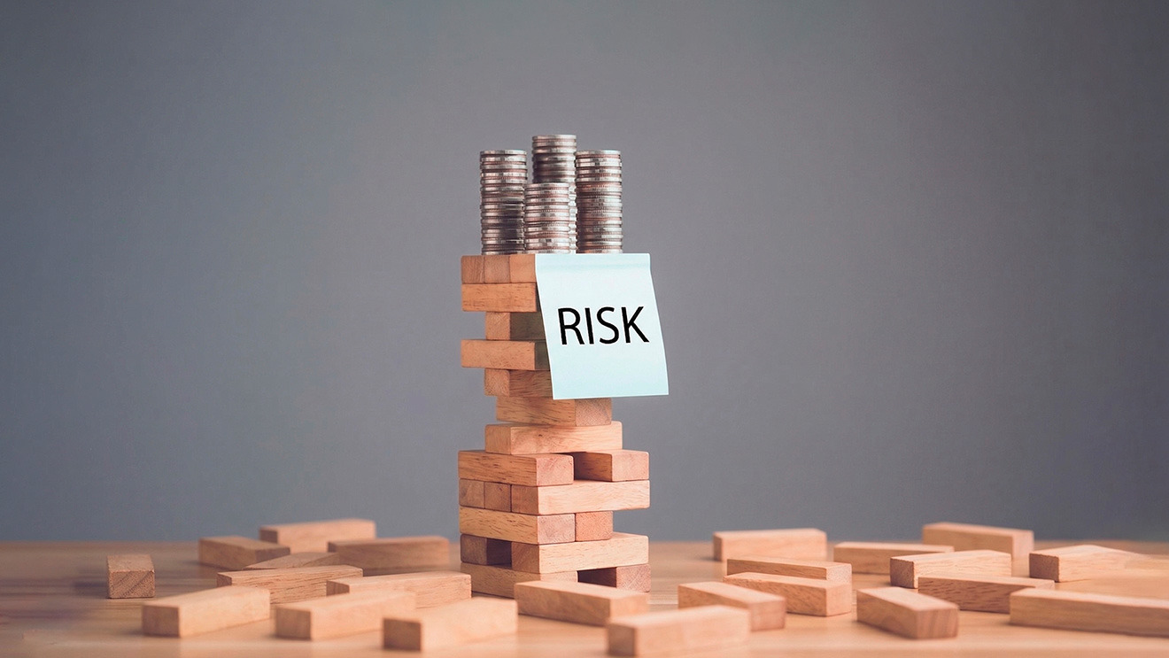 Capital Flows and Bank Risk-Taking.