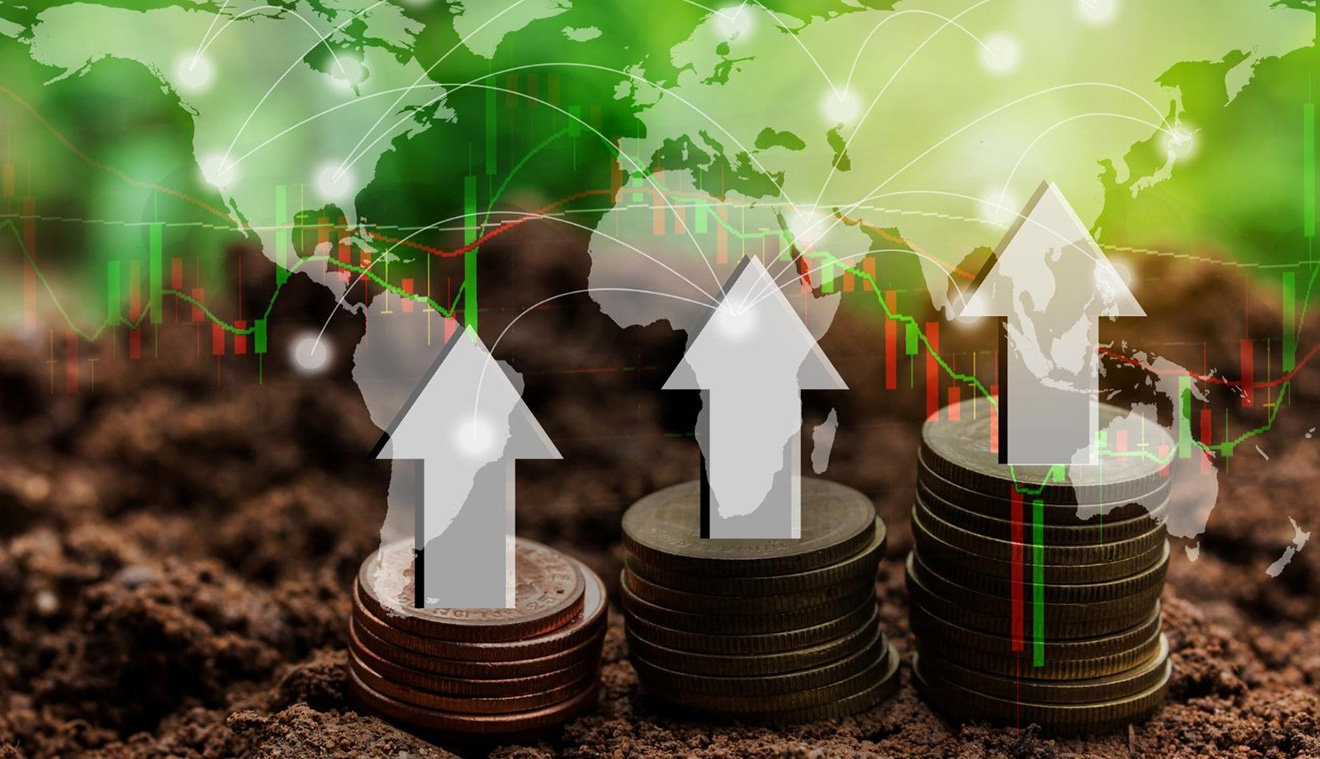 The Spillover Effects of Developed Countries’ Economic Policies on Emerging Economies