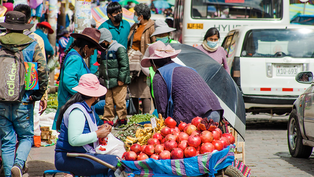 Causas y consecuencias de la informalidad en el Perú