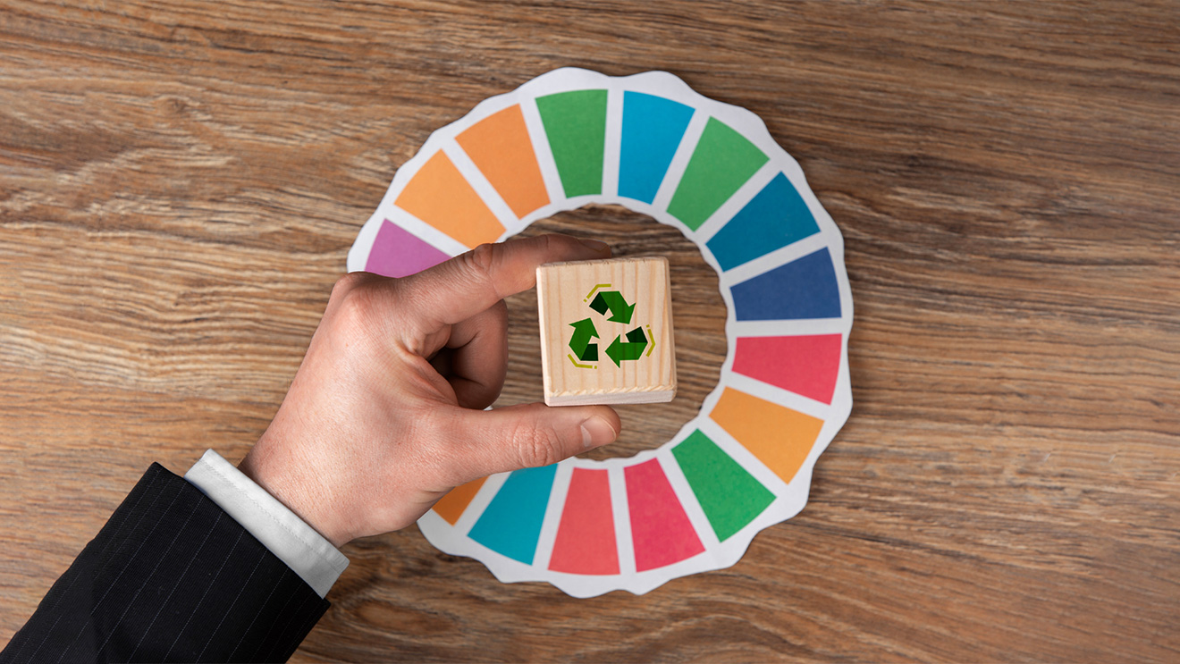 Economía circular: (re)imaginando y (re)pensando los procesos productivos