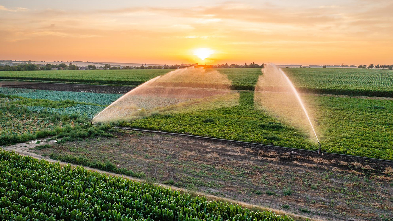 Abastecimiento de agua para la agricultura en la costa