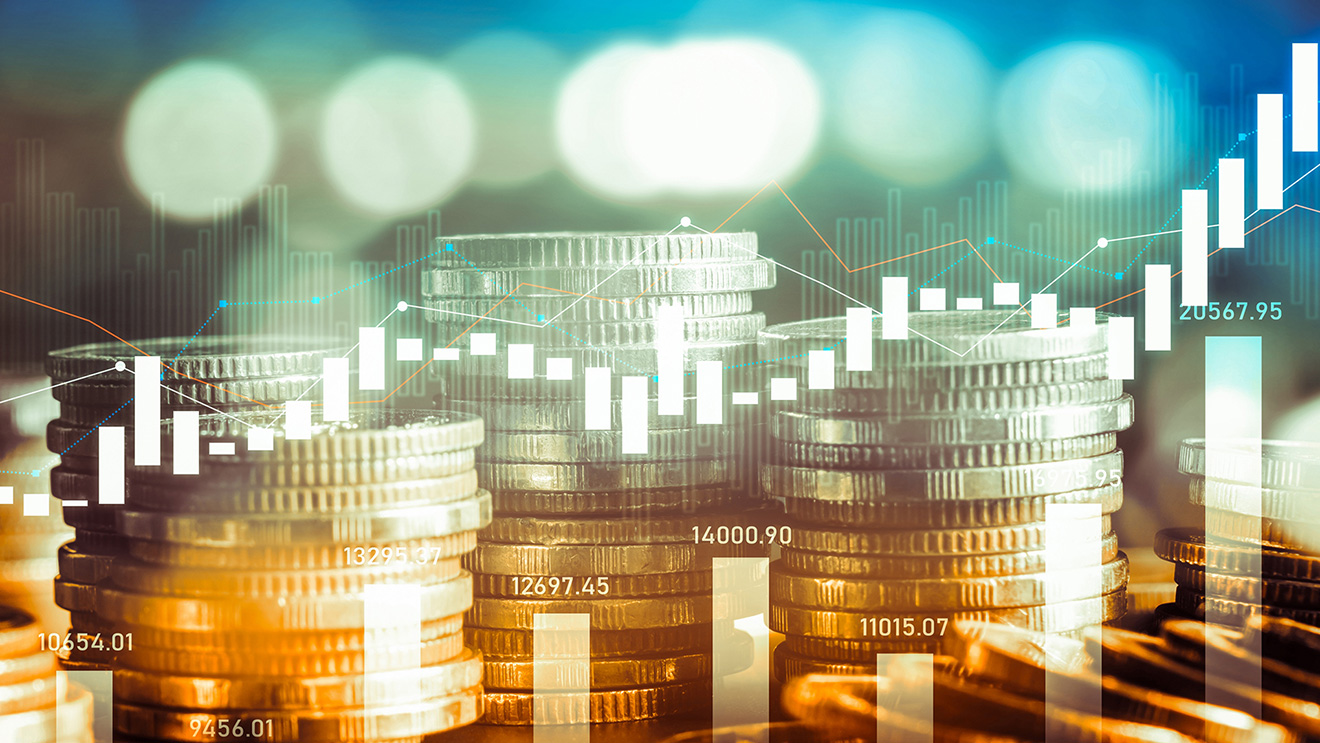 Fiscal rules and output volatility