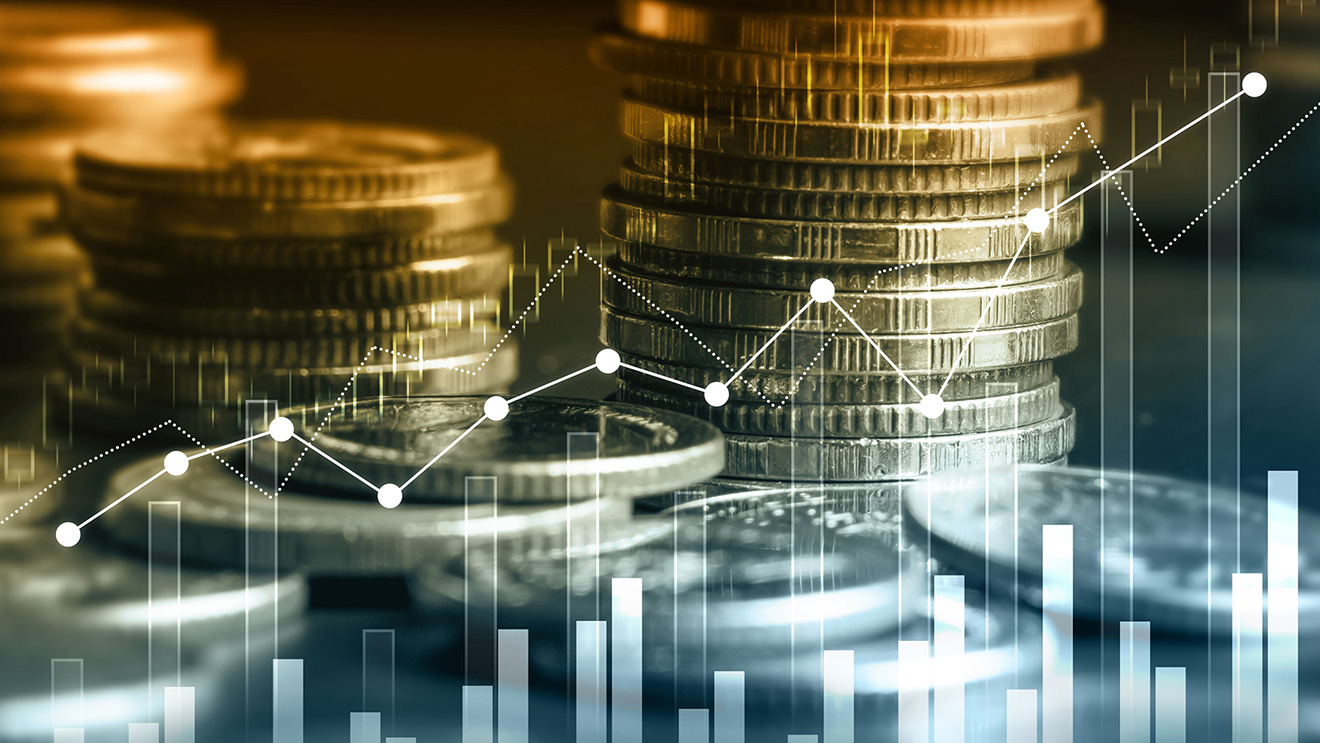 Exchange rate regimes and macroeconomic performance: a review of the literature