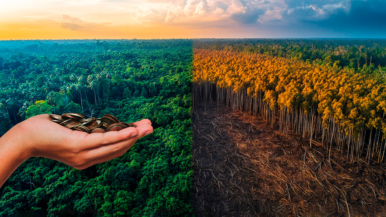 Efectos económicos del cambio climático en el Perú