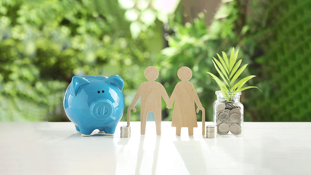How to Increase Pensions? Voluntary Pension Contributions and International Experience