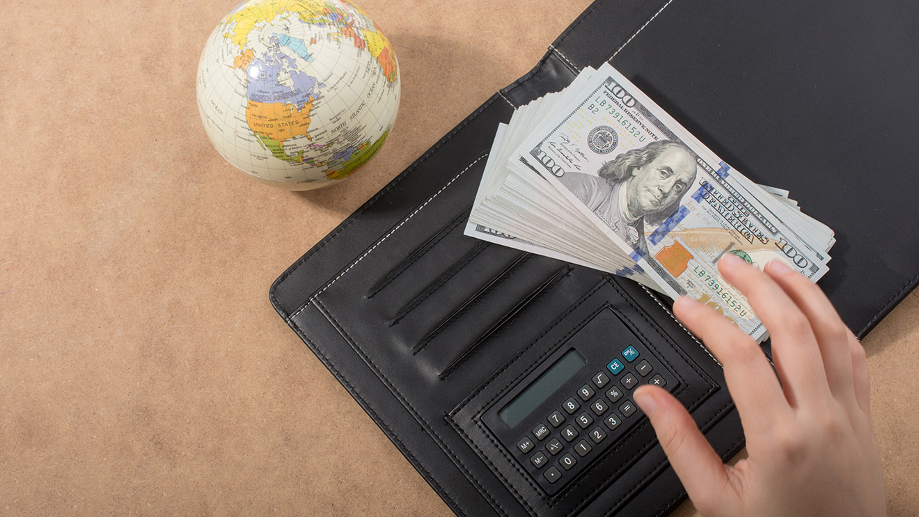 Non-performing Loans in Foreign Currency and the Real Exchange Rate: Evidence for Peru, 2003–2018