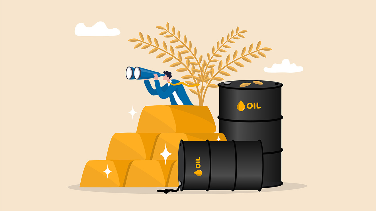 Commodities: fundamentals or a speculative bubble?